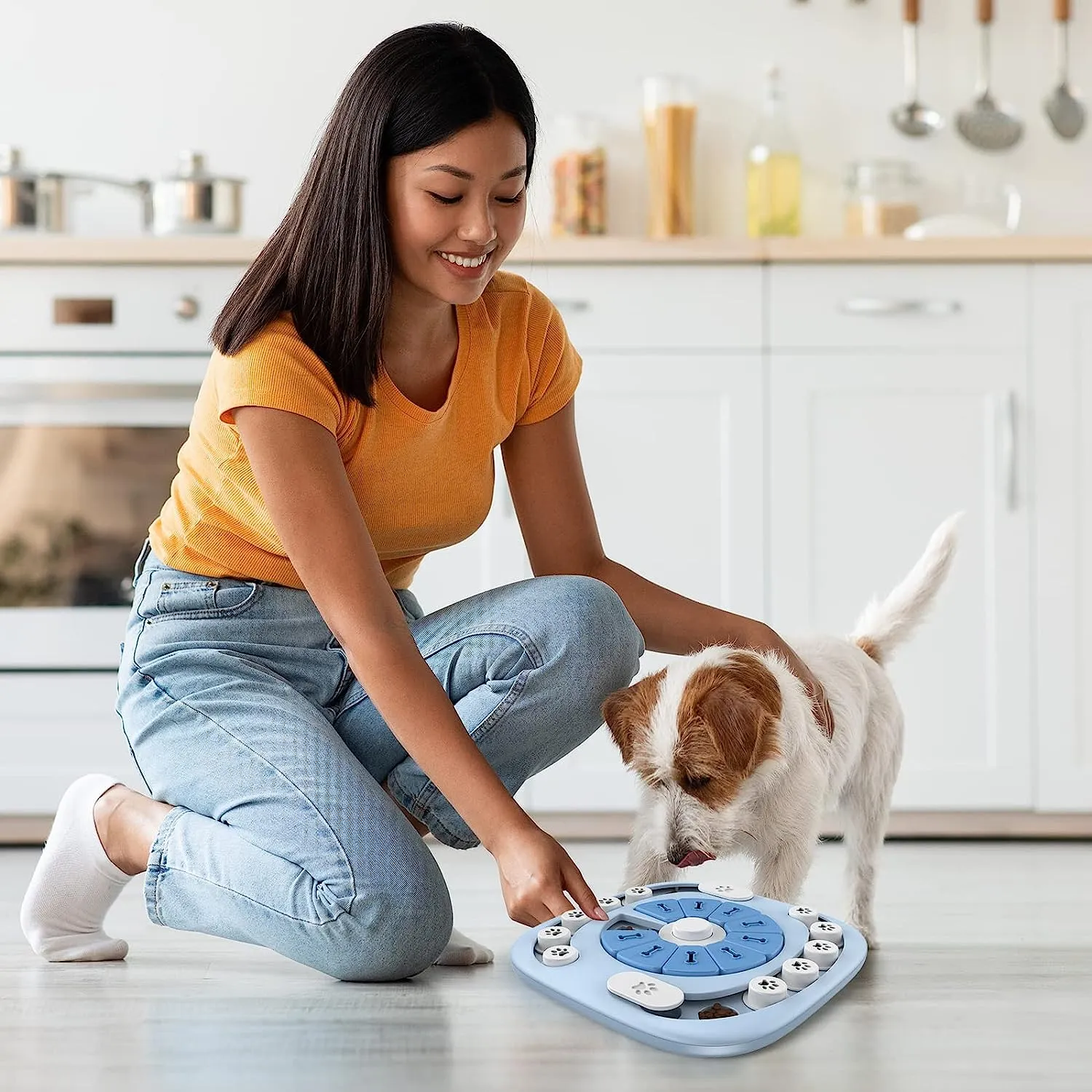 Blue Dog Puzzle Toy